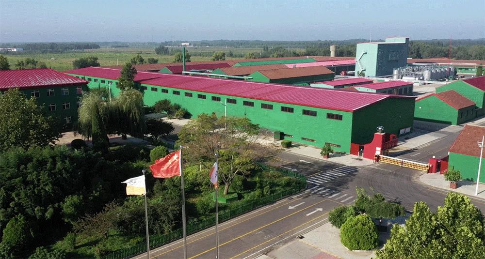 三體系認證是晨虹良好企業形象的佐證！