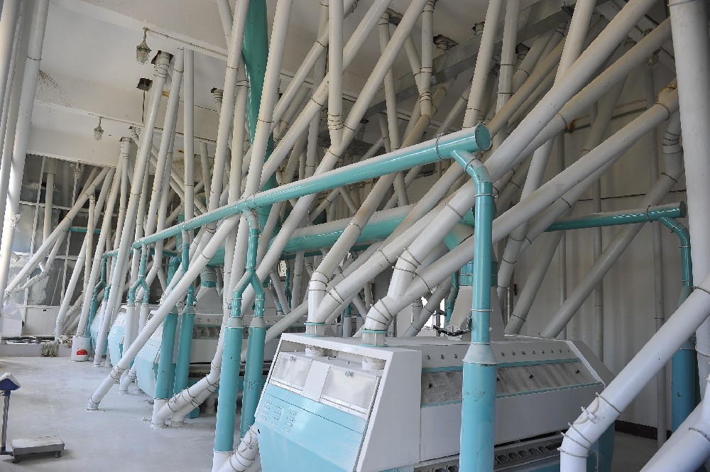 食品加工廠設備翻新之選：醇酸磁漆的卓越表現